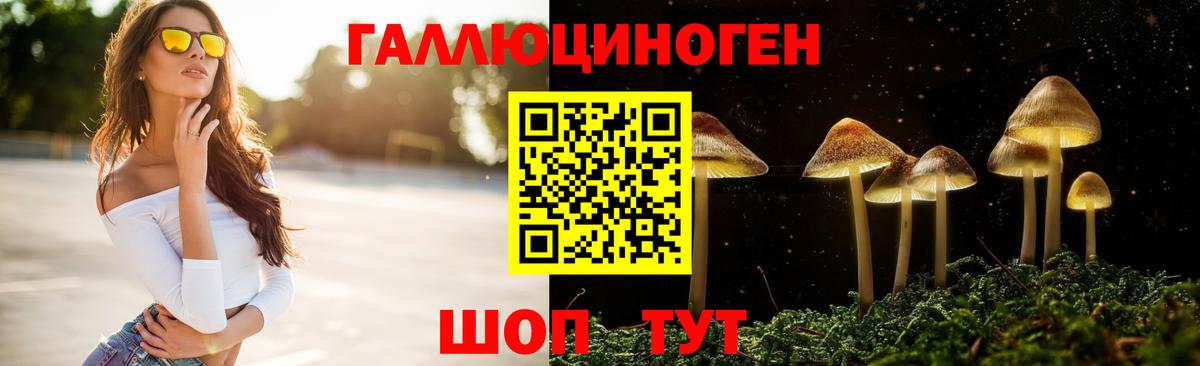 Псилоцибиновые грибы Cubensis Елизово
